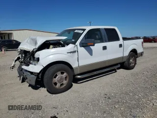 2009 Ford F-150 XL with VIN 1FTRW12889FA59502, listed as a Copart auction lot 50008105 with 89,094 mi miles and Salvage Title. Bid and sale history available at carsss.com. Image 1.