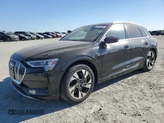 2022 Audi e-tron Premium Plus with VIN WA1LAAGE9NB007388, listed as a Copart auction lot 76719124 with 41,010 mi miles and Salvage Title. Bid and sale history available at carsss.com. Image 1.