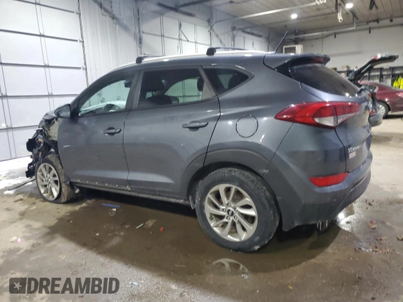 2017 Hyundai Tucson SE with VIN KM8J33A49HU331741, listed as a Copart auction lot 41931535 with Not Provided miles and Salvage Title. Bid and sale history available at DreamBid. Image 2.