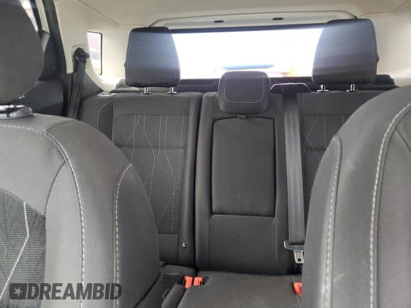 2019 Ford EcoSport SE with VIN MAJ6S3GL4KC251309, listed as a Copart auction lot 49452025 with 80,336 mi miles and Salvage Title. Bid and sale history available at carsss.com. Image 10.