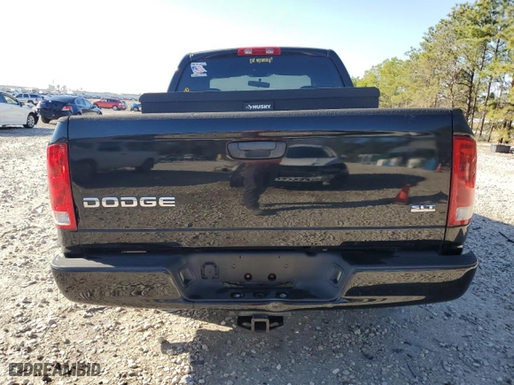 2004 Dodge Ram 1500 SLT with VIN 1D7HA18D44S647790, listed as a Copart auction lot 48603475 with 219,342 mi miles and Salvage Title. Bid and sale history available at carsss.com. Image 6.