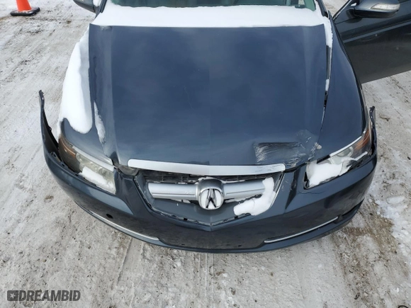 2007 Acura TL with VIN 19UUA66217A035484, listed as a Copart auction lot 46037885 with NaN miles and Salvage Title. Bid and sale history available at carsss.com. Image 11.