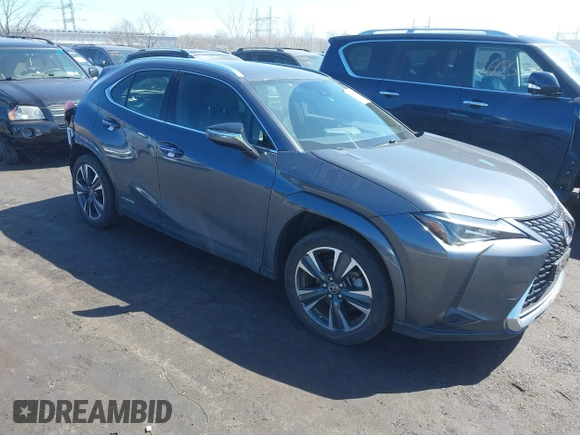 2022 Lexus UX 250h with VIN JTHP9JBH8N2058445, listed as a IAAI auction lot 41870238 with 36,509 mi miles and . Bid and sale history available at DreamBid. Image 1.