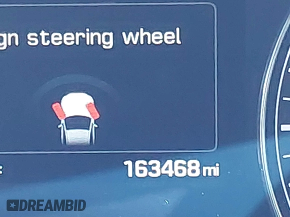 2015 Hyundai Genesis 3.8L with VIN KMHGN4JE7FU038338, listed as a IAAI auction lot 41062654 with 163,468 mi miles and . Bid and sale history available at DreamBid. Image 15.