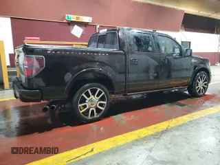 2010 Ford F-150 with VIN 1FTEW1CV3AFA48561, listed as a Copart auction lot 56859225 with 170,896 mi miles and Clean title. Bid and sale history available at DreamBid. Image 3.