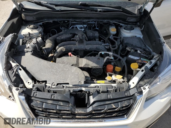 2018 Subaru Forester Premium with VIN JF2SJAGC2JH589066, listed as a Copart auction lot 50199865 with 116,055 mi miles and Salvage Title. Bid and sale history available at carsss.com. Image 13.