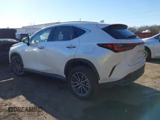 2025 Lexus NX with VIN JTJGGCEZ4S2023563, listed as a IAAI auction lot 41445692 with 210 mi miles. Bid and sale history available at carsss.com. Image 3.