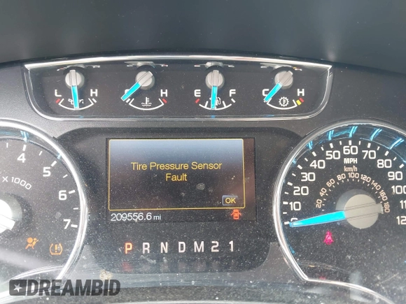 2013 Ford F-150 XL with VIN 1FTFW1EF5DFC68721, listed as a IAAI auction lot 42244911 with 209,556 mi miles and . Bid and sale history available at carsss.com. Image 7.
