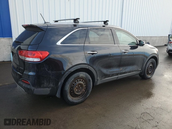 2016 Kia Sorento EX with VIN 5XYPHDA53GG161746, listed as a Copart auction lot 50689665 with 164,157 mi miles and Salvage Title. Bid and sale history available at carsss.com. Image 3.
