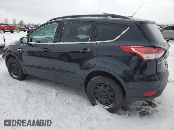2013 Ford Escape SE with VIN 1FMCU9G94DUC89551, listed as a Copart auction lot 42005035 with 244,906 mi miles and Clean Title. Bid and sale history available at carsss.com. Image 2.
