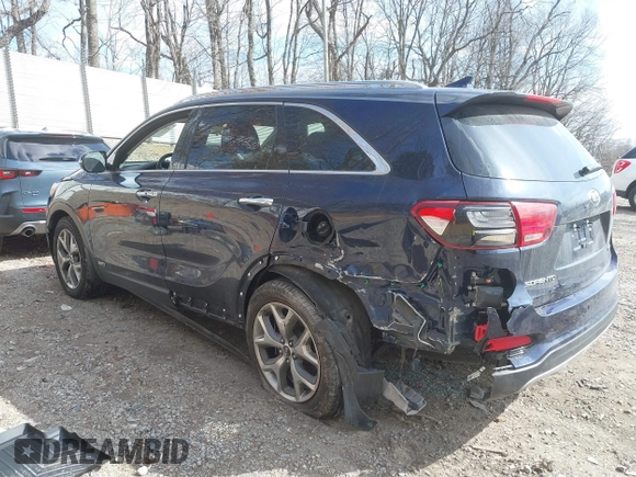 2019 Kia Sorento EX V6 with VIN 5XYPHDA58KG595489, listed as a IAAI auction lot 41886735 with 73,115 mi miles. Bid and sale history available at carsss.com. Image 3.