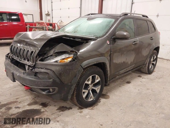 2014 Jeep Cherokee Trailhawk with VIN 1C4PJMBS2EW231813, listed as a IAAI auction lot 41664287 with 128,893 mi miles. Bid and sale history available at carsss.com. Image 2.