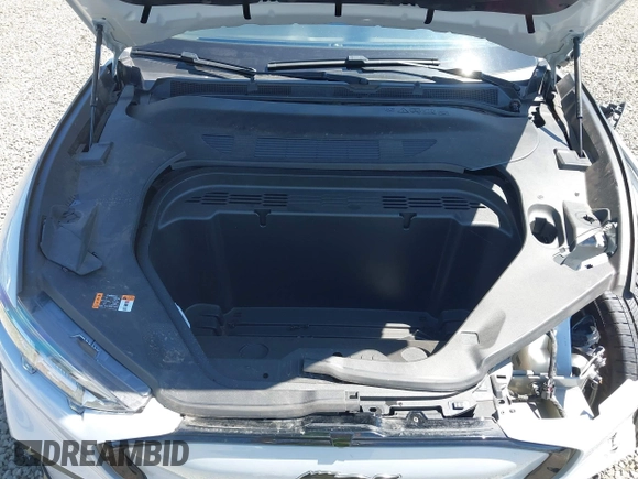 2023 Ford Mustang Mach-E Premium with VIN 3FMTK3S54PMA83808, listed as a IAAI auction lot 42773564 with 17,215 mi miles and . Bid and sale history available at DreamBid. Image 10.