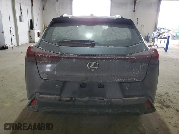 2023 Lexus UX 250h F Sport with VIN JTHB9JBH2P2066473, listed as a Copart auction lot 47743565 with 13,361 mi miles and Salvage Title. Bid and sale history available at DreamBid. Image 6.
