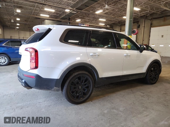 2022 Kia Telluride EX with VIN 5XYP3DHC3NG292384, listed as a Copart auction lot 59927785 with 49,105 mi miles and Salvage title. Bid and sale history available at DreamBid. Image 3.