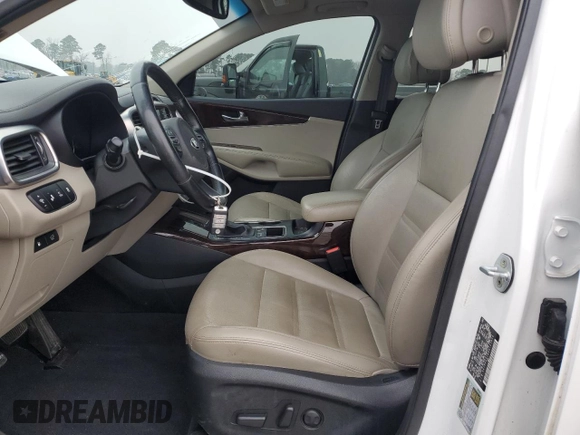 2016 Kia Sorento EX with VIN 5XYPH4A18GG125810, listed as a Copart auction lot 49037535 with 161,383 mi miles and Salvage Title. Bid and sale history available at DreamBid. Image 7.