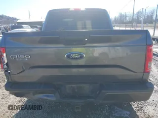 2016 Ford F-150 XL with VIN 1FTEW1CP7GFD11502, listed as a IAAI auction lot 41308646 with 133,998 mi miles and . Bid and sale history available at carsss.com. Image 16.