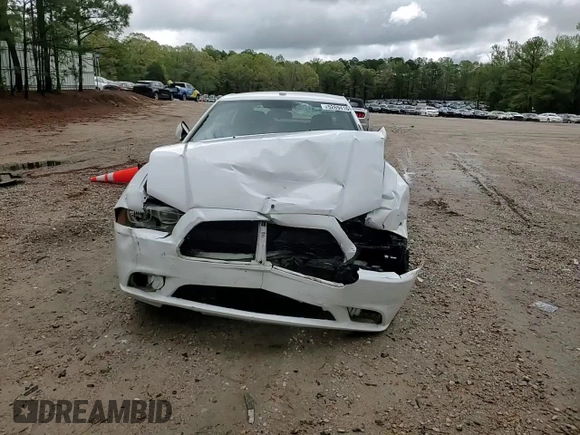 2012 Dodge Charger Police z VIN 2C3CDXAG3CH205208, wystawiony jako Copart lot #52694165 z przebiegiem 131 236 mil mil oraz Szkoda całkowita • Salvage title. Historia ofert i sprzedaży dostępna na DreamBid. Obrazek 11.