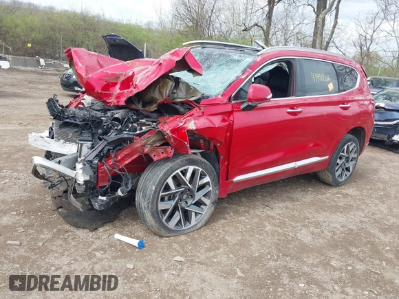 2023 Hyundai Santa Fe Calligraphy with VIN 5NMS5DAL4PH509920, listed as a IAAI auction lot 41951266 with 38,167 mi miles and . Bid and sale history available at DreamBid. Image 17.