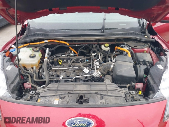 2021 Ford Escape Titanium Hybrid with VIN 1FMCU9DZ1MUA01599, listed as a IAAI auction lot 41912441 with 20,660 mi miles and . Bid and sale history available at DreamBid. Image 10.