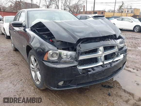 2013 Dodge Charger RT with VIN 2C3CDXDT7DH588158, listed as a IAAI auction lot 41663249 with 109,443 mi miles. Bid and sale history available at carsss.com. Image 17.