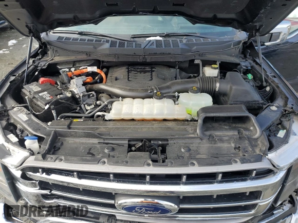 2023 Ford F-150 XL with VIN 1FTFW1ED7PFA06556, listed as a Copart auction lot 45241085 with 51,075 mi miles and Salvage Title. Bid and sale history available at carsss.com. Image 13.