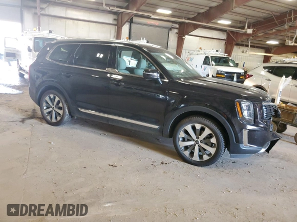 2022 Kia Telluride EX with VIN 5XYP34HC4NG239743, listed as a Copart auction lot 56178205 with Not provided miles and Salvage title. Bid and sale history available at DreamBid. Image 4.