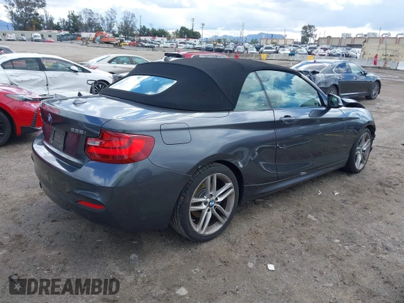 2016 BMW 2 Series 228i xDrive with VIN WBA1L9C5XGV767324, listed as a IAAI auction lot 41795604 with 133,276 mi miles. Bid and sale history available at carsss.com. Image 4.