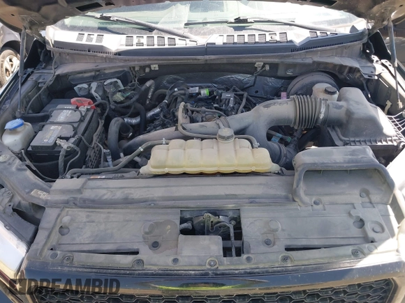 2019 Ford F-150 XL with VIN 1FTEW1CP1KKE90717, listed as a IAAI auction lot 41849276 with 113,241 mi miles and . Bid and sale history available at DreamBid. Image 10.