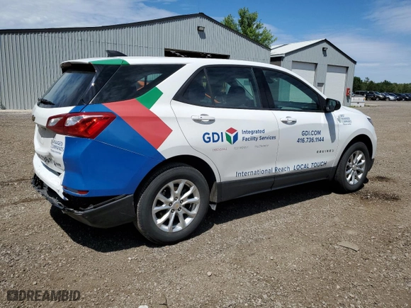 2019 Chevrolet Equinox LS with VIN 2GNAXSEV0K6121192, listed as a Copart auction lot 60967374 with 125,337 mi miles and Salvage Title. Bid and sale history available at carsss.com. Image 3.