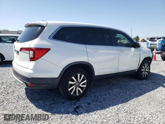 2020 Honda Pilot EX-L with VIN 5FNYF5H51LB024599, listed as a Copart auction lot 49504135 with 72,447 mi miles and Salvage Title. Bid and sale history available at carsss.com. Image 3.