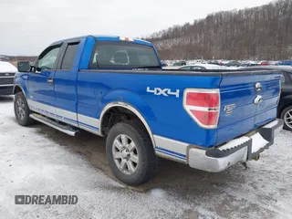 2013 Ford F-150 XL with VIN 1FTFX1ET9DFA00998, listed as a IAAI auction lot 41216058 with 168,995 mi miles and . Bid and sale history available at DreamBid. Image 3.