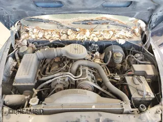 1999 Dodge Durango z VIN 1B4HS28Y1XF700830, wystawiony jako IAAI lot #42372223 z przebiegiem 247 159 mil mil oraz . Historia ofert i sprzedaży dostępna na DreamBid. Obrazek 10.