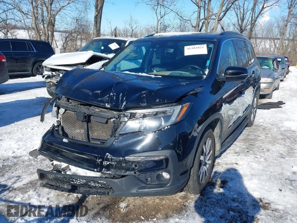 2020 Honda Pilot EX-L с VIN 5FNYF6H59LB051071, выставлен на аукционе IAAI как лот 41303821 с пробегом 145 271 миль миль и . История ставок и продаж доступна на DreamBid. Изображение 2.