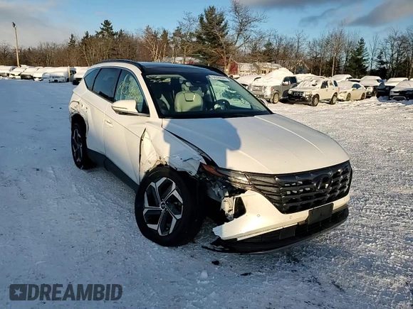 2022 Hyundai Tucson Limited with VIN 5NMJECAE7NH010601, listed as a Copart auction lot 84329044 with 22,564 mi miles and Non Repairable. Bid and sale history available at carsss.com. Image 14.