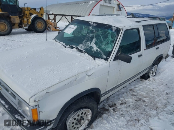 1993 Chevrolet Blazer with VIN 1GNDT13W3P2214338, listed as a IAAI auction lot 41511324 with 175,816 mi miles and . Bid and sale history available at DreamBid. Image 6.