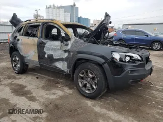 2019 Jeep Cherokee Trailhawk Elite with VIN 1C4PJMBX3KD425690, listed as a Copart auction lot 81963584 with 0 mi miles and Salvage Title. Bid and sale history available at carsss.com. Image 4.