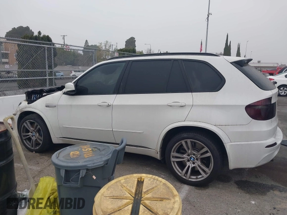 2010 BMW X5 M with VIN 5YMGY0C52ALK25509, listed as a IAAI auction lot 41227049 with 1 mi miles. Bid and sale history available at carsss.com. Image 14.