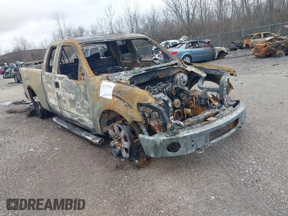 2010 Ford F-150 XL with VIN 1FTFX1EV1AFC15580, listed as a IAAI auction lot 41737979 with Not provided miles and . Bid and sale history available at DreamBid. Image 1.