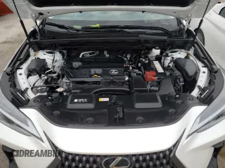 2023 Lexus NX 250 with VIN JTJADCAZ5P2006346, listed as a Copart auction lot 74574774 with Not provided miles and Salvage title. Bid and sale history available at DreamBid. Image 12.