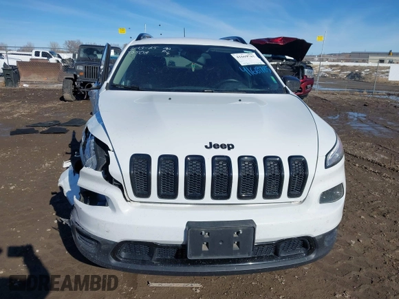 2017 Jeep Cherokee Sport with VIN 1C4PJMAS8HW633678, listed as a IAAI auction lot 41669785 with 99,309 mi miles and . Bid and sale history available at DreamBid. Image 12.