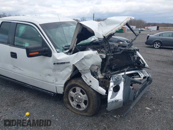 2011 Ford F-150 XL with VIN 1FTFX1EF9BFB66042, listed as a IAAI auction lot 41737757 with 181,384 mi miles and . Bid and sale history available at carsss.com. Image 6.
