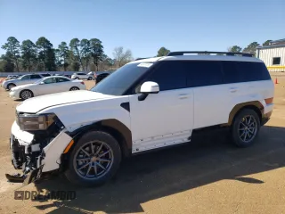 2025 Hyundai Santa Fe Calligraphy with VIN 5NMP5DG11SH023358, listed as a Copart auction lot 48476105 with 12,504 mi miles and Salvage title. Bid and sale history available at DreamBid. Image 1.