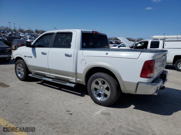 2010 Dodge Ram 1500 SLT with VIN 1D7RB1CT9AS160337, listed as a Copart auction lot 49986505 with 198,052 mi miles and Salvage Title. Bid and sale history available at carsss.com. Image 2.