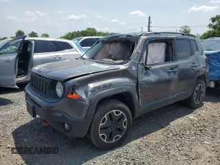 2019 Jeep Renegade Trailhawk with VIN ZACCJBCB4HPG62527, listed as a Copart auction lot 61896785 with Not provided miles and Salvage title. Bid and sale history available at DreamBid. Image 1.
