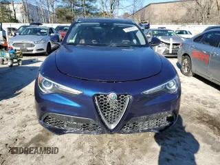 2019 Alfa Romeo Stelvio Ti with VIN ZASPAKBN6K7C44172, listed as a Copart auction lot 43384485 with Not provided miles and Salvage title. Bid and sale history available at DreamBid. Image 5.