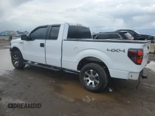 2014 Ford F-150 XL with VIN 1FTEX1EM7EKG10153, listed as a Copart auction lot 55842715 with 175,056 mi miles and Salvage title. Bid and sale history available at DreamBid. Image 2.