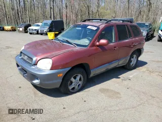 2004 Hyundai Santa Fe GLS with VIN KM8SC73D44U848707, listed as a Copart auction lot 54386875 with 133,299 mi miles and Salvage Title. Bid and sale history available at carsss.com. Image 1.