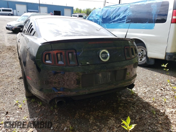 2014 Ford Mustang GT with VIN 1ZVBP8CFXE5334028, listed as a Copart auction lot 57643235 with 169,371 mi miles and Clean title. Bid and sale history available at DreamBid. Image 6.
