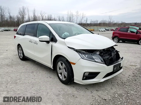 2019 Honda Odyssey EX with VIN 5FNRL6H53KB010902, listed as a Copart auction lot 53254595 with 86,940 mi miles and Salvage Title. Bid and sale history available at carsss.com. Image 15.
